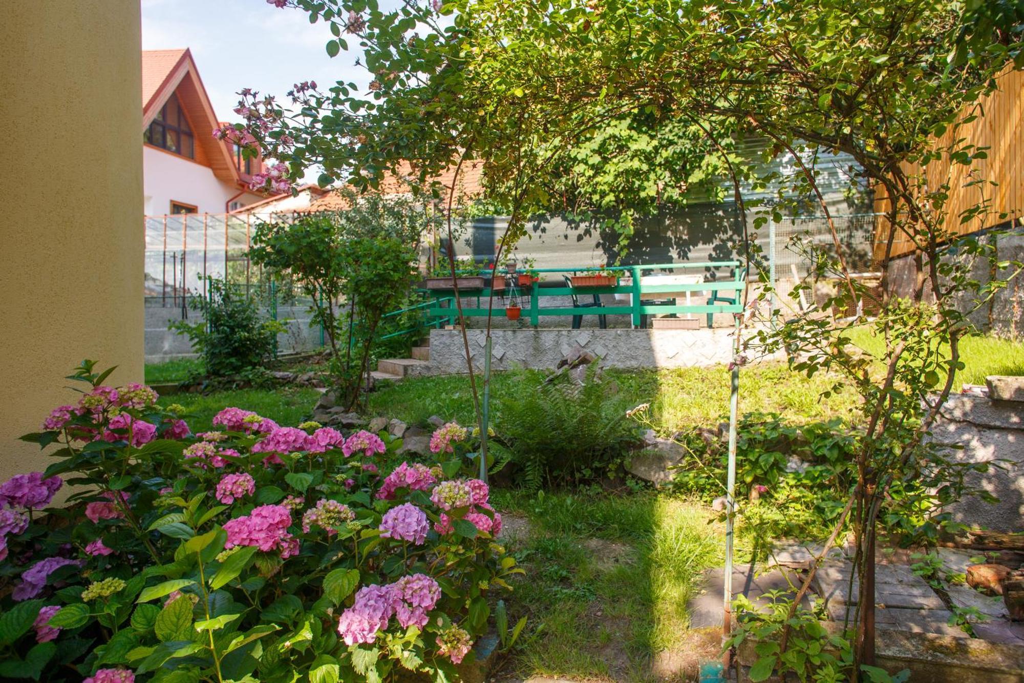 Barok Appart Brasov Luaran gambar